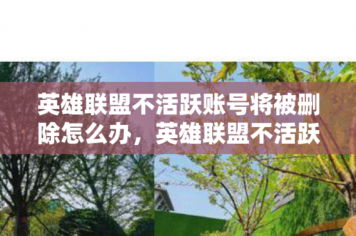 英雄联盟不活跃账号将被删除怎么办，英雄联盟不活跃账号将被删除，优化游戏体验，保障玩家权益