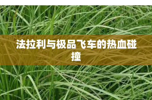 法拉利与极品飞车的热血碰撞
