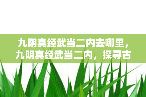 九阴真经武当二内去哪里，九阴真经武当二内，探寻古老武学的奥秘