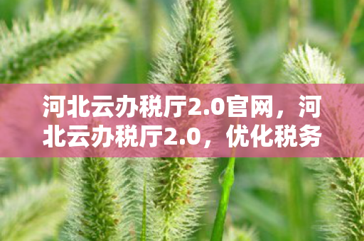 河北云办税厅2.0官网,河北云办税厅2.0,优化税务服务,提升办税效率 河北云办税厅2.0官网,河北云办税厅2.0,优化税务服务,提升办税效率