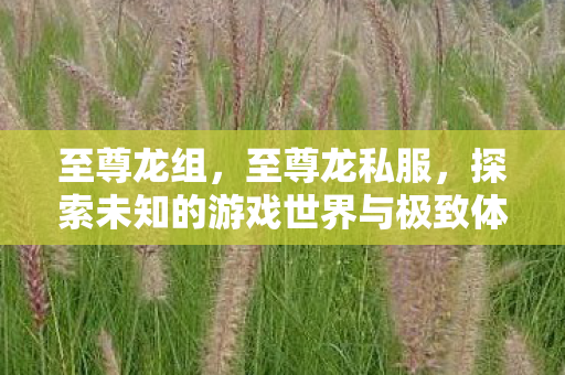 至尊龙组，至尊龙私服，探索未知的游戏世界与极致体验