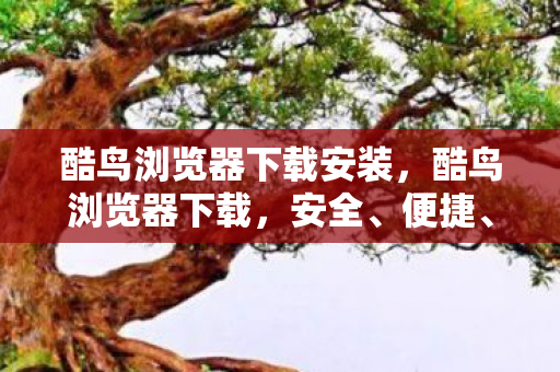 酷鸟浏览器下载安装，酷鸟浏览器下载，安全、便捷、高效的浏览器选择