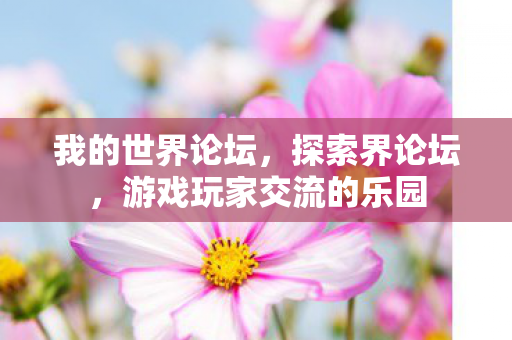 我的世界论坛，探索界论坛，游戏玩家交流的乐园