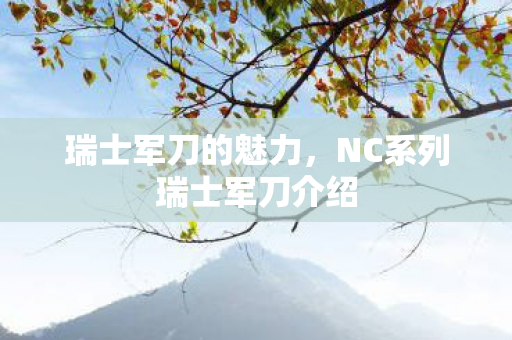 瑞士军刀的魅力，NC系列瑞士军刀介绍