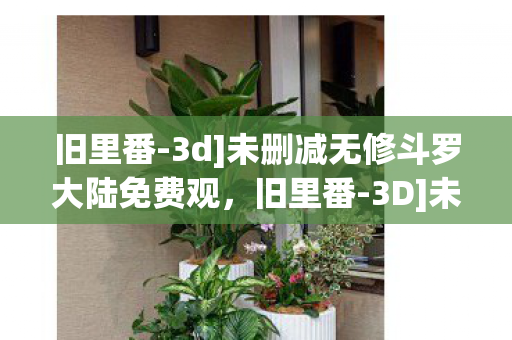旧里番-3d]未删减无修斗罗大陆免费观，旧里番-3D]未删减无修，探索经典动漫的3D魅力