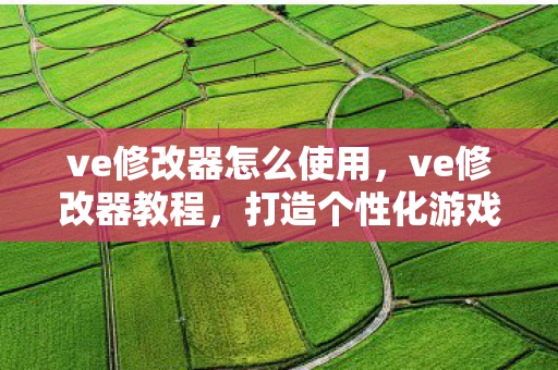 ve修改器怎么使用，ve修改器教程，打造个性化游戏体验
