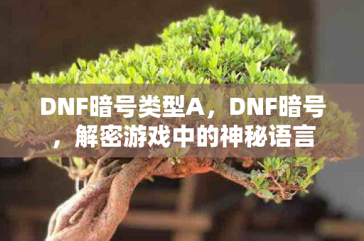 DNF暗号类型A，DNF暗号，解密游戏中的神秘语言
