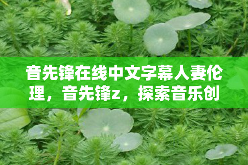 音先锋在线中文字幕人妻伦理，音先锋z，探索音乐创作的新边界