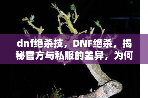 dnf绝杀技，DNF绝杀，揭秘官方与私服的差异，为何私服难以替代