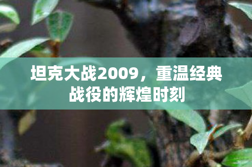 坦克大战2009,重温经典战役的辉煌时刻 坦克大战2009,重温经典战役的辉煌时刻