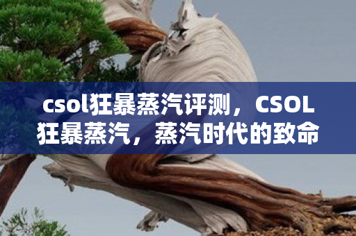 csol狂暴蒸汽评测，CSOL狂暴蒸汽，蒸汽时代的致命武器