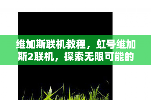 维加斯联机教程,虹号维加斯2联机,探索无限可能的在线冒险 维加斯联机教程,虹号维加斯2联机,探索无限可能的在线冒险
