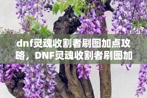 dnf灵魂收割者刷图加点攻略，DNF灵魂收割者刷图加点攻略