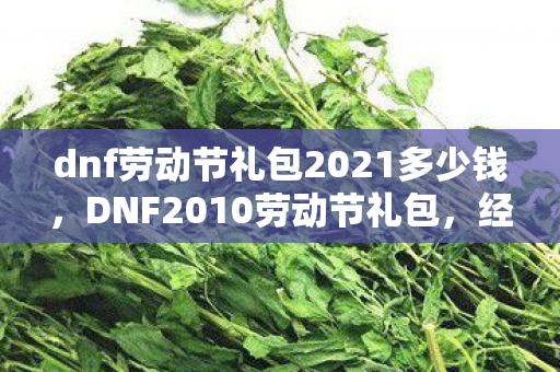dnf劳动节礼包2021多少钱，DNF2010劳动节礼包，经典再现，回忆满满