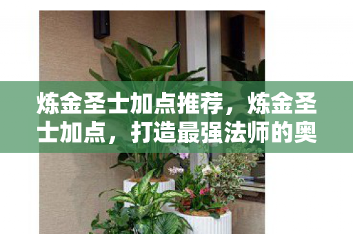 炼金圣士加点推荐，炼金圣士加点，打造最强法师的奥秘