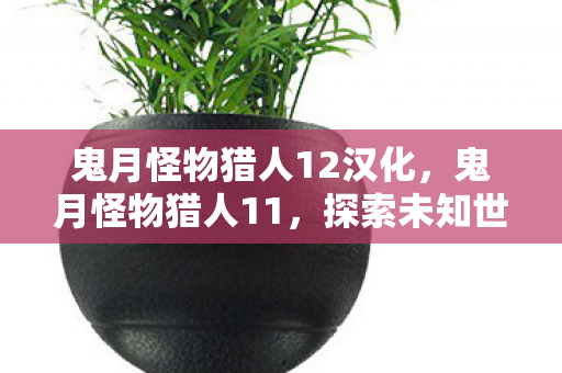 鬼月怪物猎人12汉化，鬼月怪物猎人11，探索未知世界的奇幻之旅