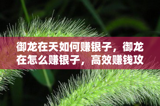 御龙在天如何赚银子，御龙在怎么赚银子，高效赚钱攻略大揭秘