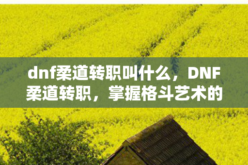 dnf柔道转职叫什么，DNF柔道转职，掌握格斗艺术的进阶之路