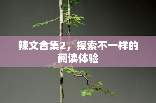 辣文合集2，探索不一样的阅读体验