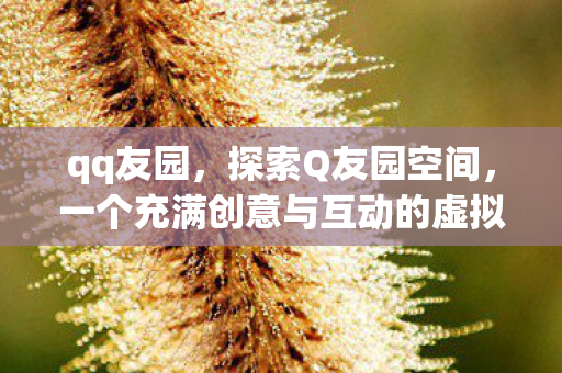 qq友园，探索Q友园空间，一个充满创意与互动的虚拟社区
