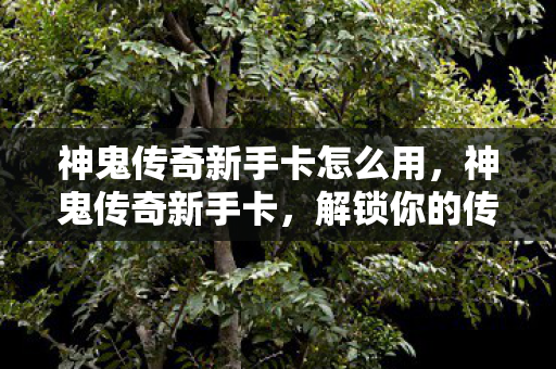 神鬼传奇新手卡怎么用，神鬼传奇新手卡，解锁你的传奇之旅