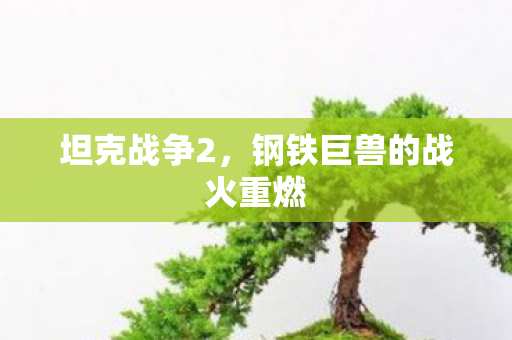 坦克战争2，钢铁巨兽的战火重燃