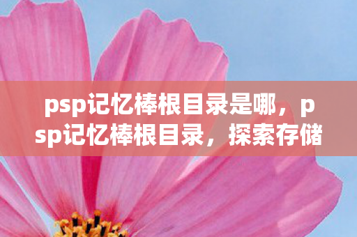 psp记忆棒根目录是哪，psp记忆棒根目录，探索存储与管理的奥秘
