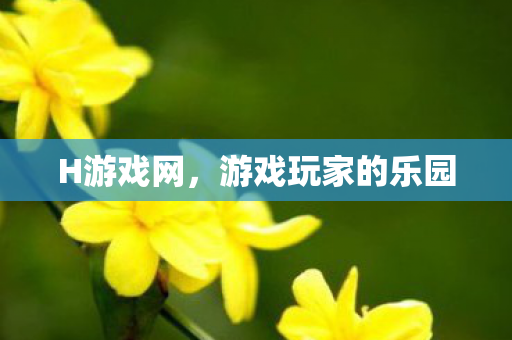 H游戏网，游戏玩家的乐园