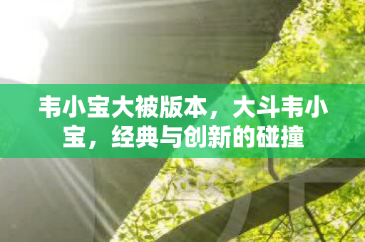 韦小宝大被版本,大斗韦小宝,经典与创新的碰撞 韦小宝大被版本,大斗韦小宝,经典与创新的碰撞