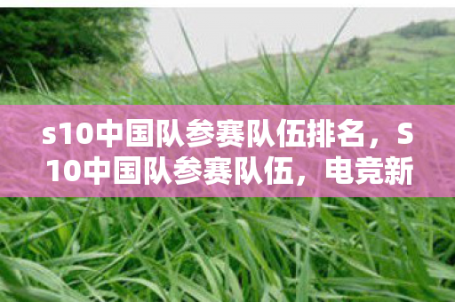 s10中国队参赛队伍排名，S10中国队参赛队伍，电竞新星的崛起之路