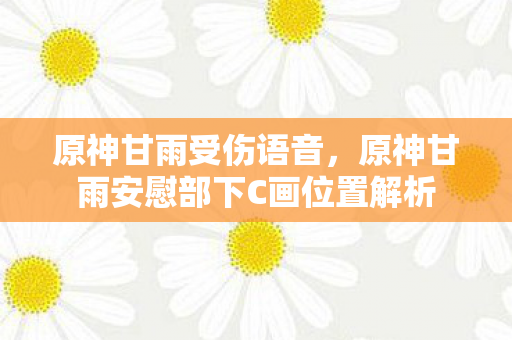 原神甘雨受伤语音，原神甘雨安慰部下C画位置解析