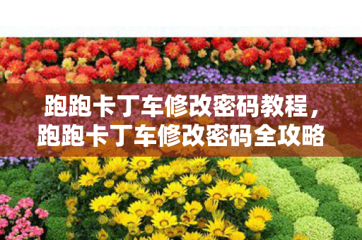 跑跑卡丁车修改密码教程，跑跑卡丁车修改密码全攻略，安全又便捷的操作指南