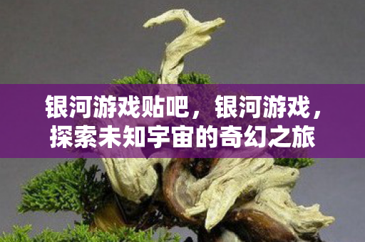 银河游戏贴吧,银河游戏,探索未知宇宙的奇幻之旅 银河游戏贴吧,银河游戏,探索未知宇宙的奇幻之旅