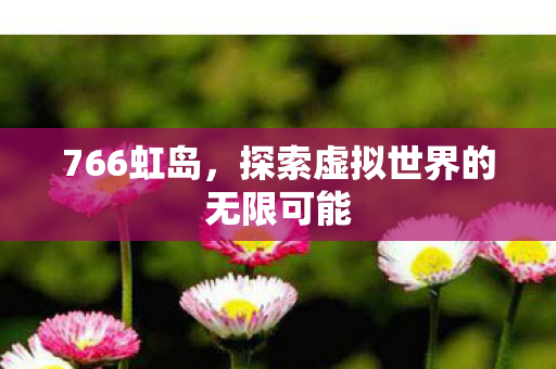 766虹岛，探索虚拟世界的无限可能
