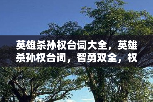 英雄杀孙权台词大全，英雄杀孙权台词，智勇双全，权倾江东