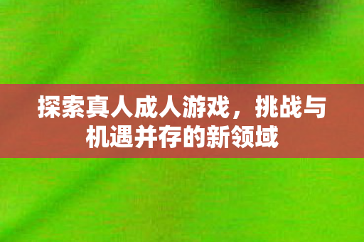 探索真人成人游戏，挑战与机遇并存的新领域