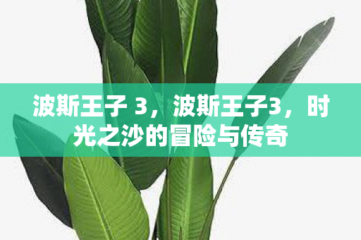 波斯王子 3,波斯王子3,时光之沙的冒险与传奇 波斯王子 3,波斯王子3,时光之沙的冒险与传奇