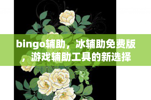 bingo辅助，冰辅助免费版，游戏辅助工具的新选择