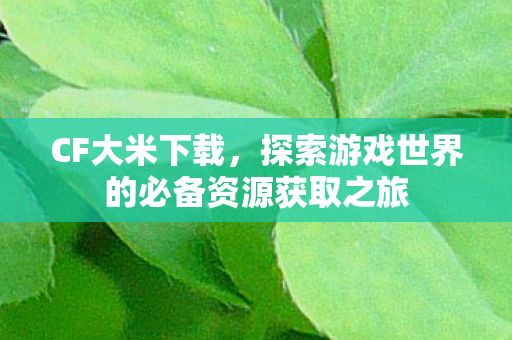 CF大米下载，探索游戏世界的必备资源获取之旅