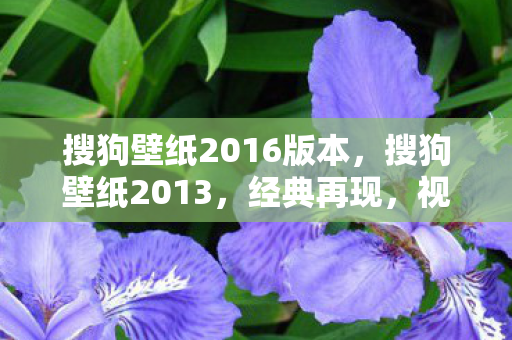 搜狗壁纸2016版本，搜狗壁纸2013，经典再现，视觉盛宴的延续