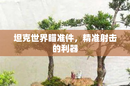 坦克世界瞄准件，精准射击的利器