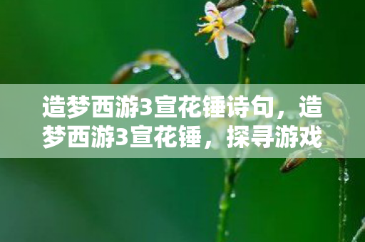造梦西游3宣花锤诗句，造梦西游3宣花锤，探寻游戏中的神秘神器