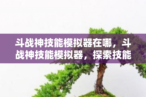 斗战神技能模拟器在哪，斗战神技能模拟器，探索技能搭配与战斗策略的深度工具