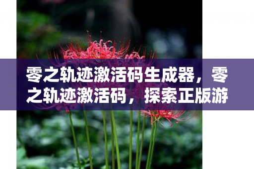 零之轨迹激活码生成器，零之轨迹激活码，探索正版游戏的奇妙之旅
