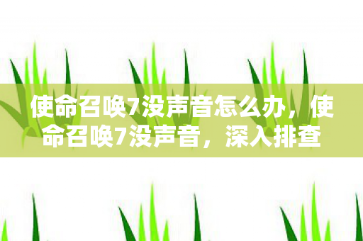 使命召唤7没声音怎么办，使命召唤7没声音，深入排查与解决方案