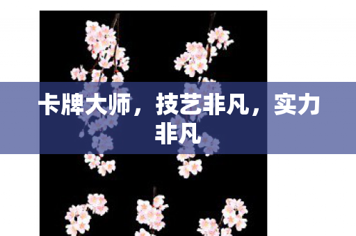 卡牌大师，技艺非凡，实力非凡