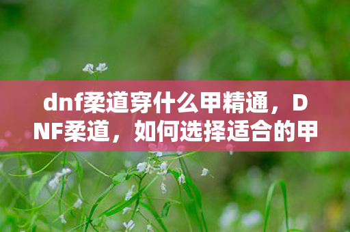 dnf柔道穿什么甲精通，DNF柔道，如何选择适合的甲类装备