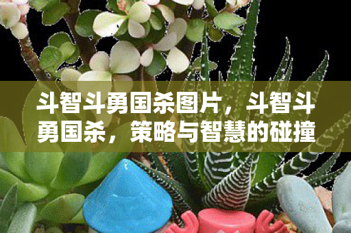 斗智斗勇国杀图片，斗智斗勇国杀，策略与智慧的碰撞