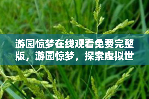 游园惊梦在线观看免费完整版，游园惊梦，探索虚拟世界的无限可能