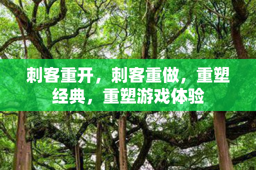 刺客重开，刺客重做，重塑经典，重塑游戏体验